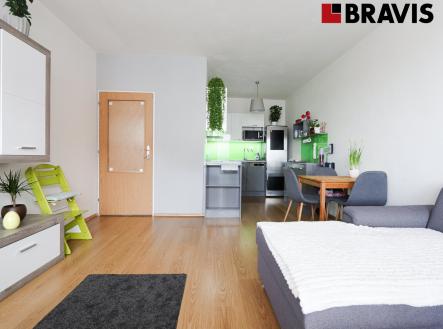 9 | Pronájem bytu, 2+kk, 49 m²