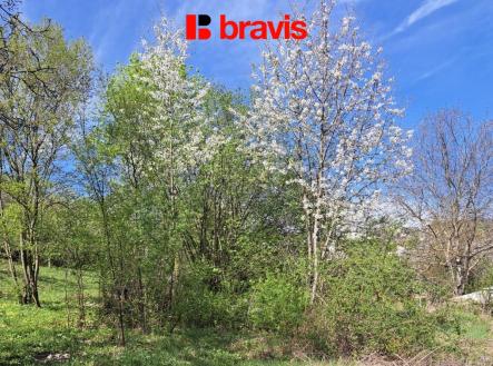 1000011688 | Prodej - pozemek, zahrada, 902 m²