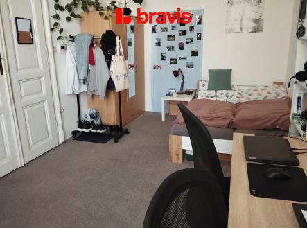 503c2bcb-587b-413d-ad95-3c3a01bdd38c | Pronájem bytu, 1+kk, 28 m²