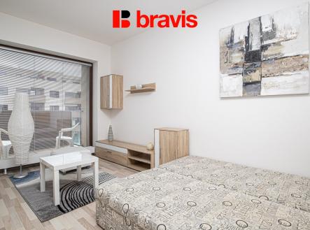 IMG_8118 | Pronájem bytu, 1+kk, 40 m²