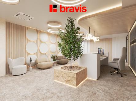 Kancelare_Petrov_F1_05 | Pronájem - kanceláře, 506 m²