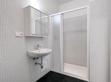 koupelna2 | Pronájem bytu, 1+kk, 17 m²