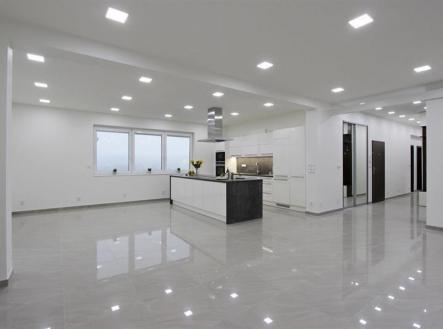 001.jpg | Pronájem bytu, 4+kk, 130 m²