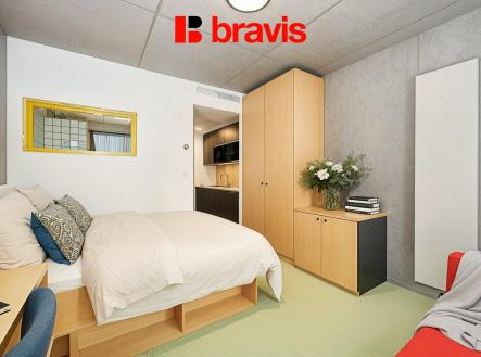 DSC_3972_FoceniBytu.cz - vizualizace | Pronájem bytu, 1+kk, 22 m²