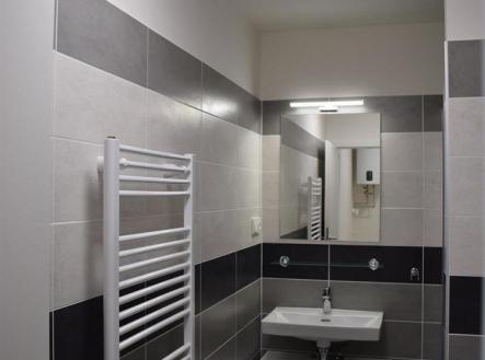 DSC_0879.JPG | Pronájem bytu, 1+kk, 41 m²