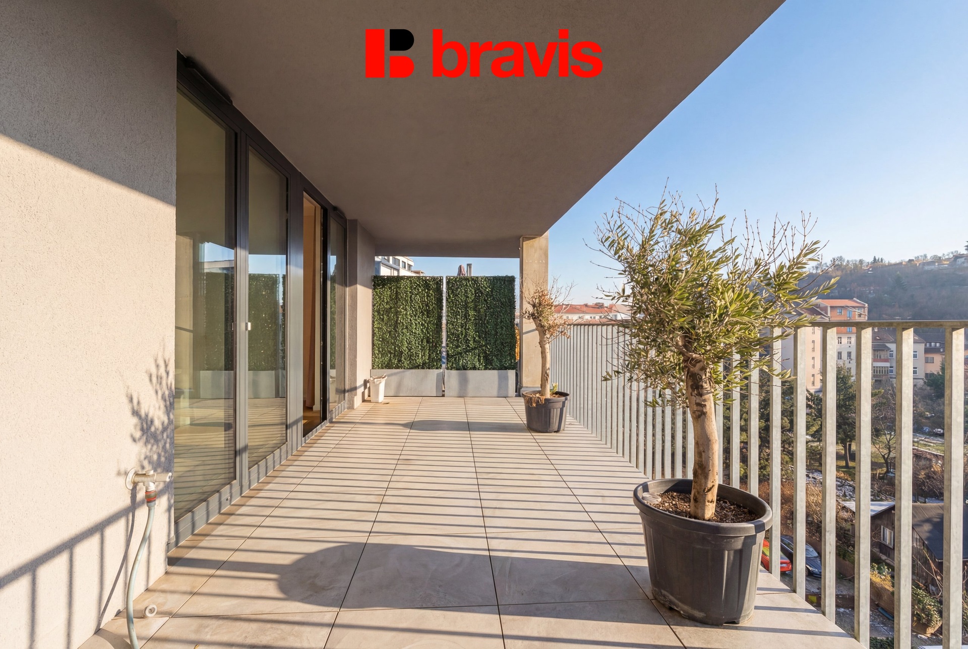 hf_20260206_120031_516e21de-9db0-4a01-985c-23c49d99cdd5