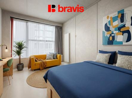 1769426735-d82a36bf-8c01-4d34-a39d-0653787c4c45 | Pronájem bytu, 1+kk, 24 m²