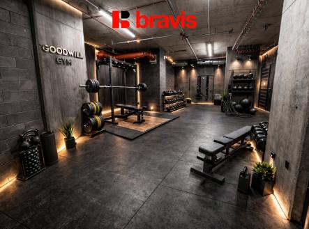 Fitness | Pronájem bytu, 1+kk, 35 m²