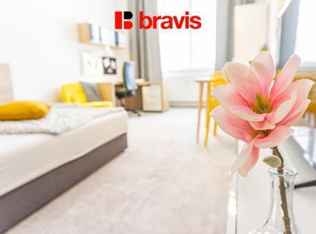 333-flatrentbrno26 | Pronájem bytu, 1+1, 30 m²