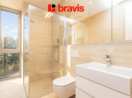 hf_20260209_161433_6f2b728a-2459-4031-a36f-d8358101f081 | Pronájem bytu, 1+kk, 39 m²