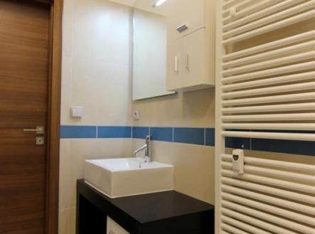 4.JPG | Pronájem bytu, 1+kk, 34 m²