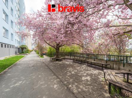 23_DSC_4227_FoceniBytu.cz | Prodej bytu, 4+1, 80 m²