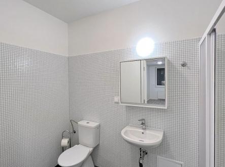 Koupelna1 | Pronájem bytu, 1+kk, 17 m²