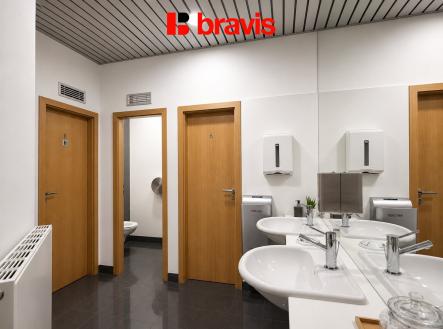 16 | Pronájem - kanceláře, 57 m²