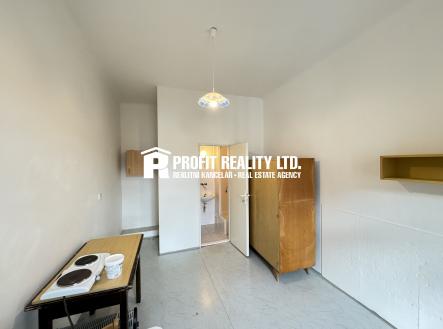 Pronájem bytu, 1+kk, 15 m² obrázek