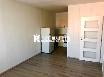IMG_8129 | Pronájem bytu, 2+kk, 50 m²