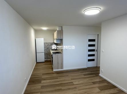 IMG_0377 | Pronájem bytu, 2+kk, 50 m²