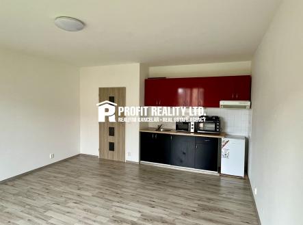 IMG_7738 | Pronájem bytu, 1+kk, 32 m²