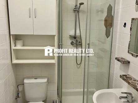IMG_7743 | Pronájem bytu, 1+kk, 32 m²