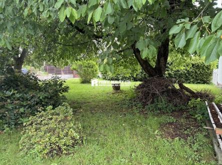 IMG_9817 | Pronájem bytu, 1+kk, 23 m²