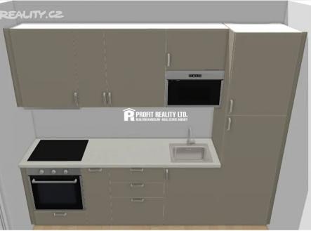 11aa | Pronájem bytu, 1+1, 47 m²