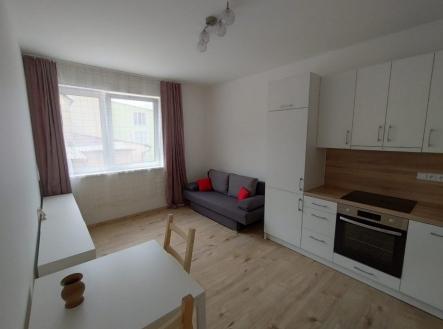 1 obývací pokoj s kuchyňským koutem | Pronájem bytu, 2+kk, 44 m²