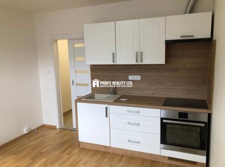 IMG_6186 | Pronájem bytu, 1+kk, 20 m²