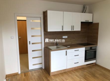 IMG_6184 | Pronájem bytu, 1+kk, 20 m²