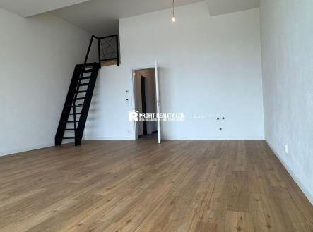 IMG_6888 | Pronájem bytu, 1+kk, 50 m²