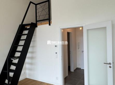IMG_6875 | Pronájem bytu, 1+kk, 50 m²