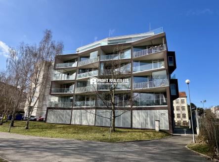 IMG_0179 | Pronájem bytu, 4+kk, 164 m²
