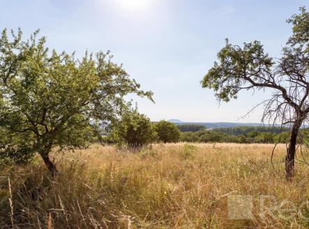 . | Prodej - pozemek pro bydlení, 6 555 m²