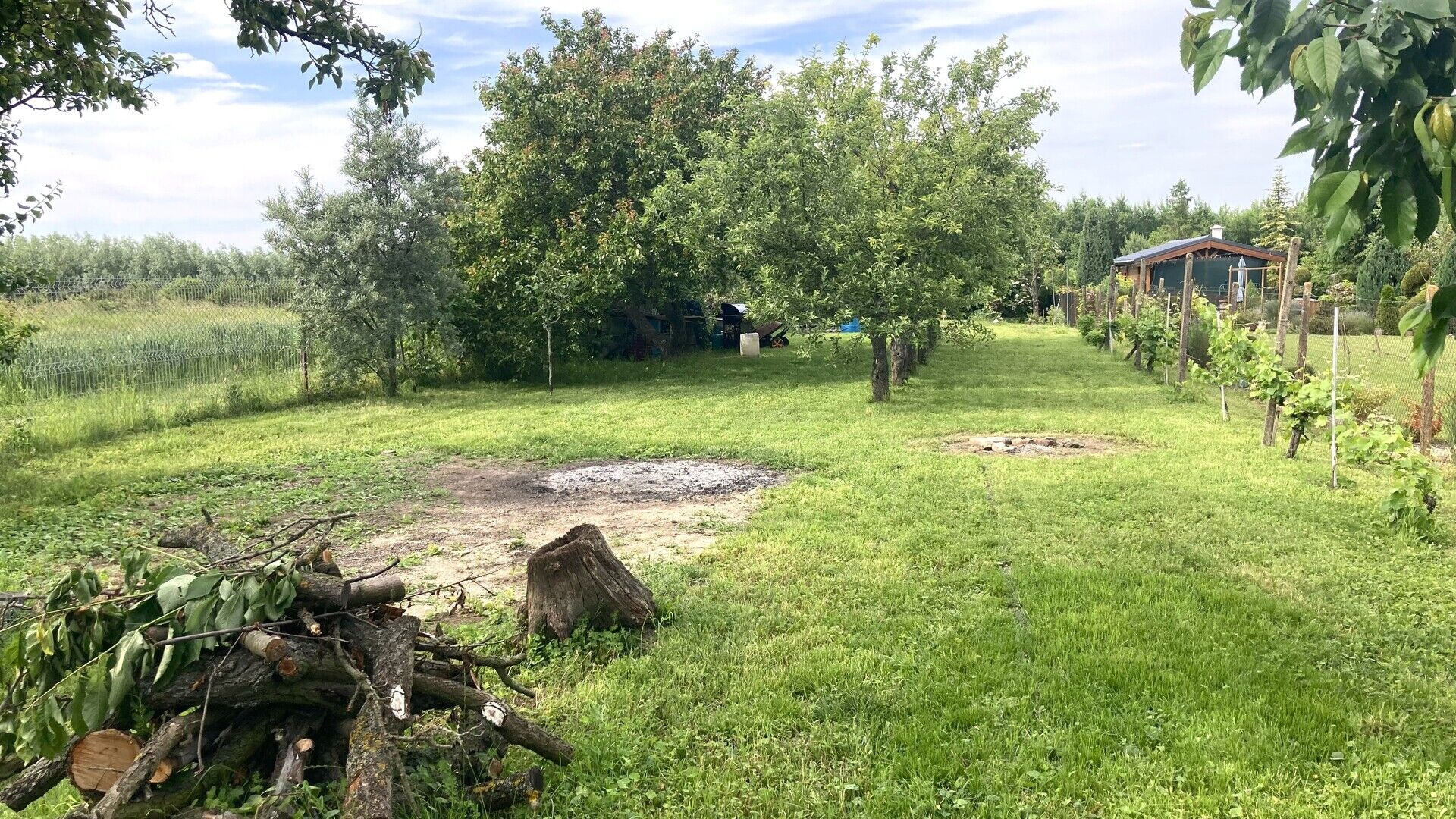 Pozemek s možností výstavby domu s půdorysem 40 m², pozemek 789 m², Znojmo