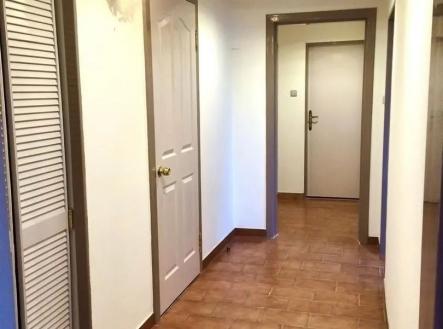 hala-chodba s dřevěná podlaha | Prodej - obchodní prostor, 74 m²