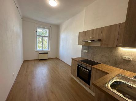 Pronájem bytu, 2+kk, 49 m² obrázek