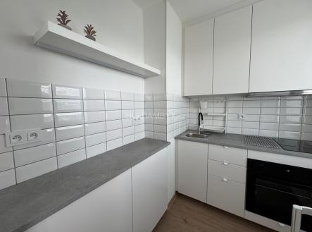 Pronájem bytu, 1+1, 30 m²