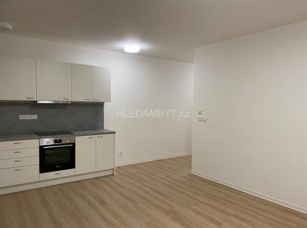 Pronájem bytu, 2+kk, 55 m²