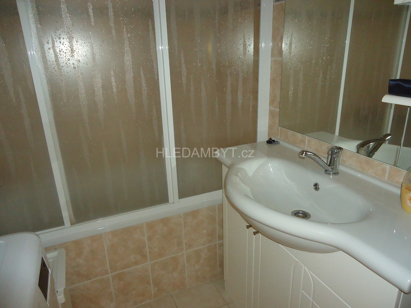 Pronájem bytu Praha 10 Petrovice 1+1 Frostova