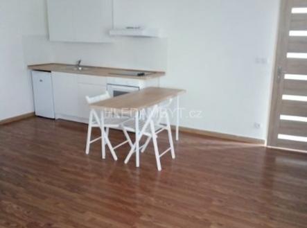Pronájem bytu, 1+kk, 42 m² obrázek