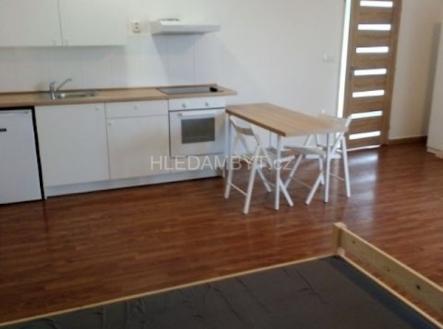 Pronájem bytu, 1+kk, 42 m²
