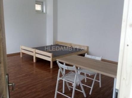 Pronájem bytu, 1+kk, 42 m²