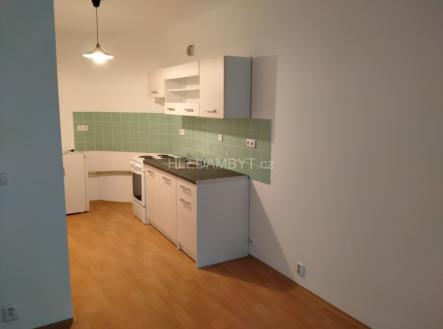 Pronájem bytu, 1+kk, 44 m²