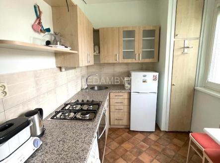 Pronájem bytu, 1+1, 39 m²