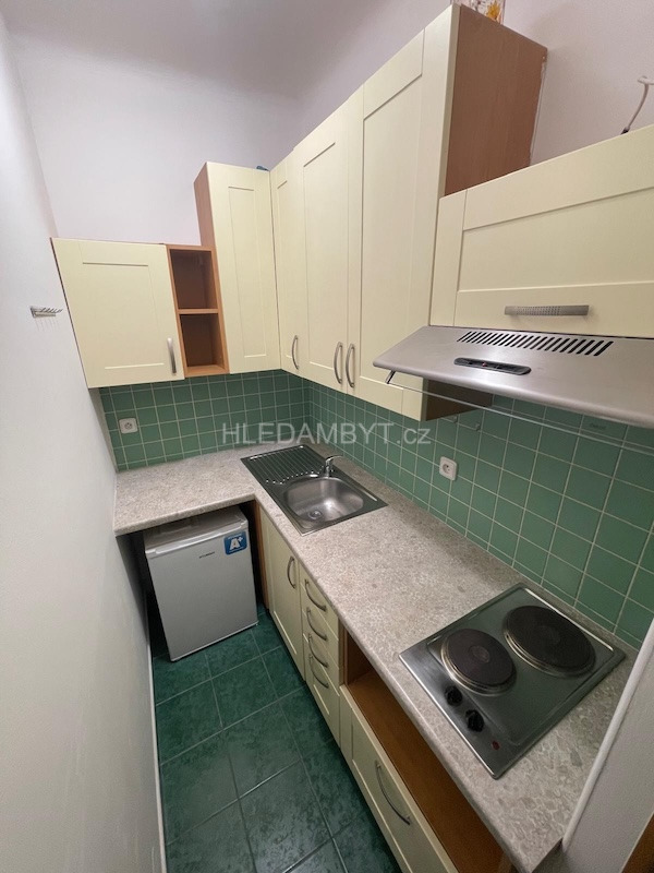 Pronájem bytu Praha 3 Vinohrady 1+kk Písecká