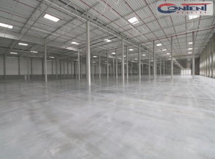 Pronájem - výrobní prostor, 8 000 m²