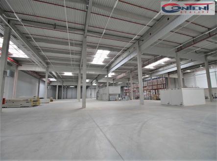 Pronájem - výrobní prostor, 10 446 m²