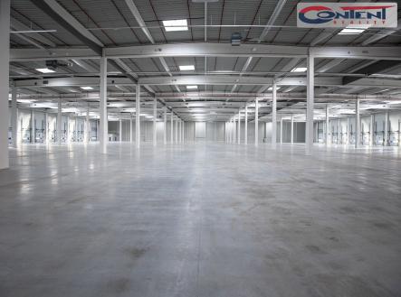 Pronájem - výrobní prostor, 29 022 m²
