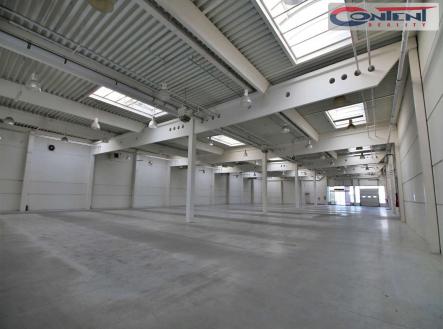 Pronájem - obchodní prostor, 6 000 m²