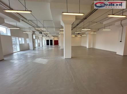 Pronájem - skladovací prostor, 435 m²