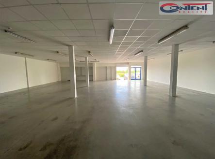 Pronájem - výrobní prostor, 750 m² obrázek